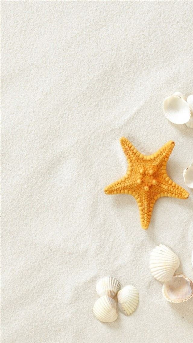 1080x1920 Pure Seaside Beach Starfish Seashell -  iPhone 8 Wallpaper