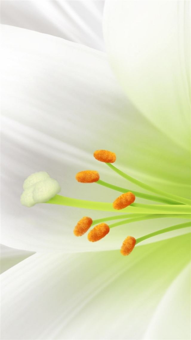 1080x1920 Pure White Lily Flower Macro - close up iPhone 8 Wallpaper
