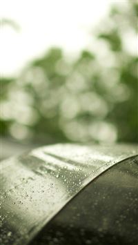 Abstract Rainy Dew Transparent Umbrella Bokeh wallpaper
