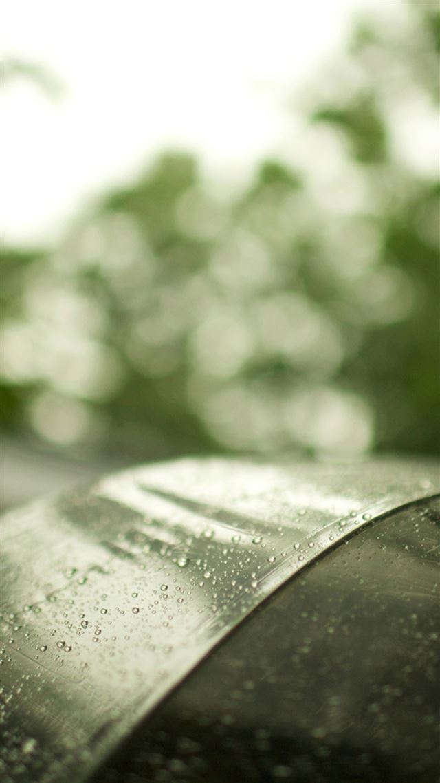 1080x1920 Abstract Rainy Dew Transparent Umbrella Bokeh - rainy iPhone 8 Wallpaper