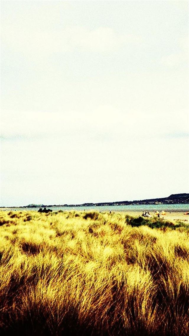 1080x1920 Nature Vast Desolate Grass Field - wither iPhone 8 Wallpaper