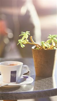Cafe Coffee City Bokeh Life Art Nature wallpaper