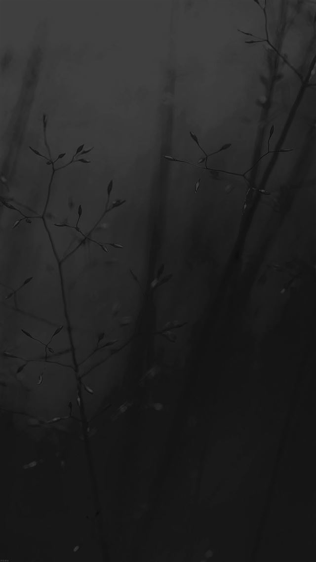 1080x1920 Abstract Weed Plant Dark Flower Nature - gray iPhone 8 Wallpaper