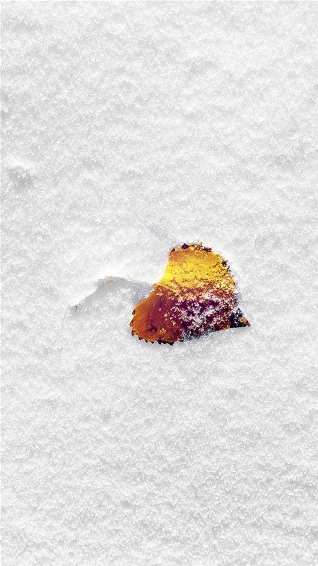 1080x1920 Winter Yellow Leaf Pure Snowy Field - minimal iPhone 8 Wallpaper