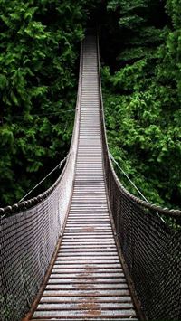 Nature Long Suspension Bridge Over Forest wallpaper