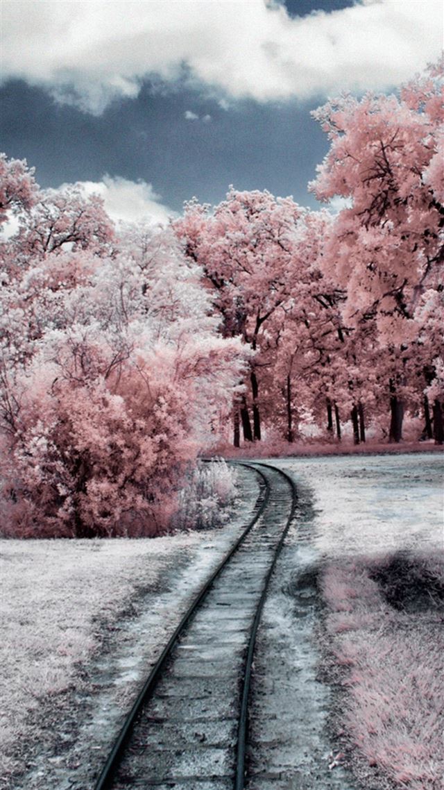 1080x1920 Nature Winter Through Pink Woods - winter iPhone 8 Wallpaper