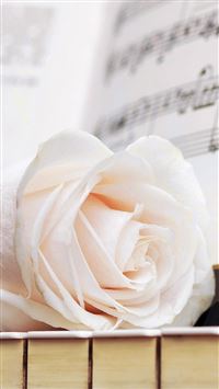 Pure Elegant Rose Flower Macro Music Note Book wallpaper