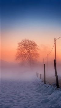 Winter Scene Fog Glow wallpaper