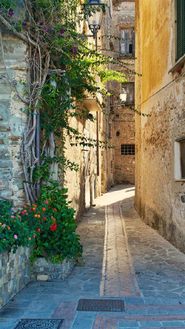 1080x1920 Nature Country Road Sunshine Architecture - road iPhone 8 Wallpaper