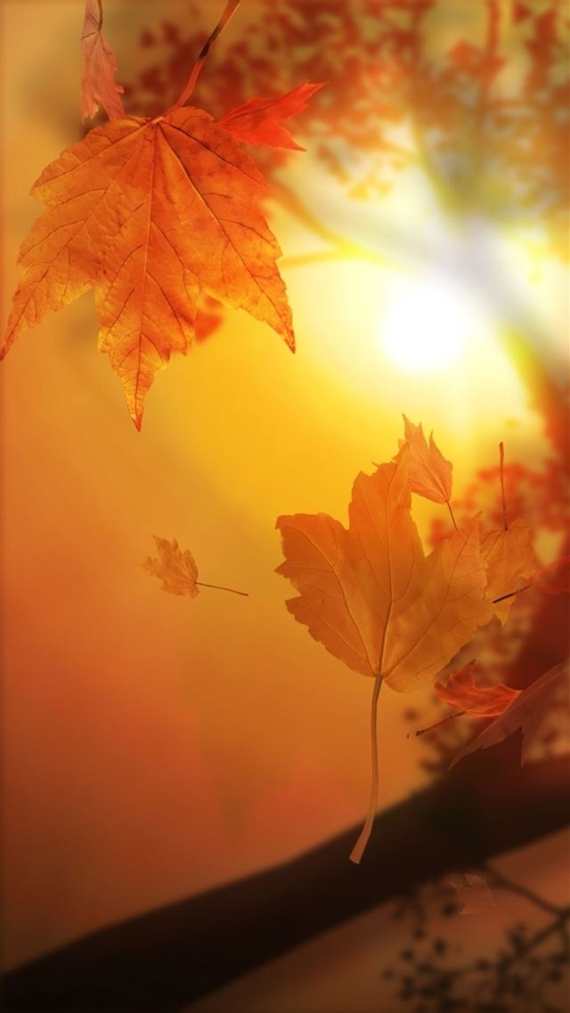 1080x1920 Nature Autumn Sunset Yellow Leaves Flyiing Sunshine - fall iPhone 8 Wallpaper
