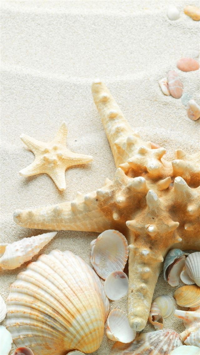 1080x1920 Pure Seaside Beach Starfish Seashell - starfish iPhone 8 Wallpaper
