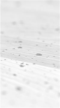 Drops Of Milk On Floor Pattern Nature White iPhone 6(s)~8(s) wallpaper