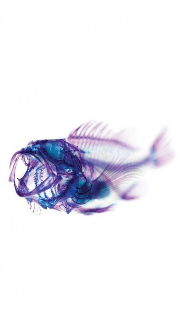 1080x1920 Xray Fish Skeleton Art - design iPhone 8 Wallpaper