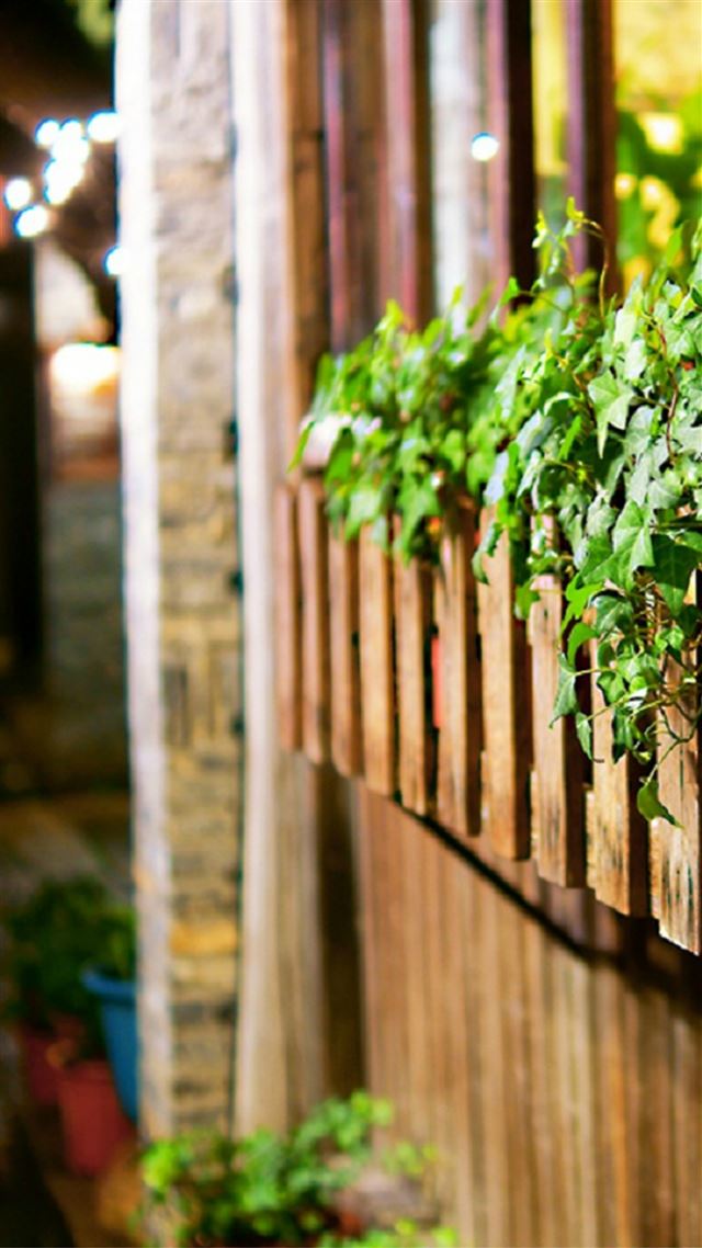 1080x1920 Nature Wooden Fence Climbing Green Branch Corner View - branch iPhone 8 Wallpaper
