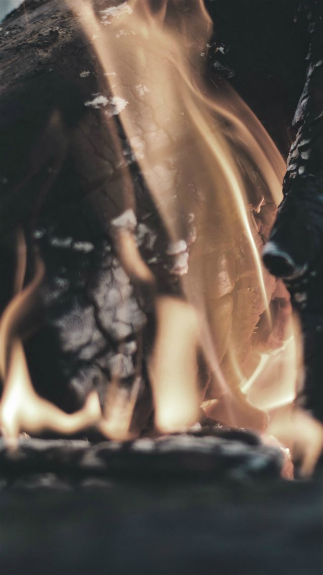 1080x1920 Nature Camp Fire Light Firewood - orange iPhone 8 Wallpaper