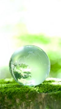 Pure Crystal Cyan Glass Ball Moss Macro wallpaper