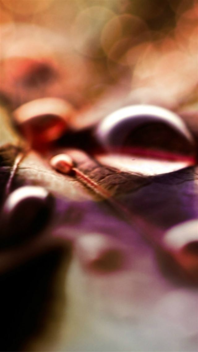 1080x1920 Pure Simple Dew Water Drop On Leaf Bokeh - water drop iPhone 8 Wallpaper