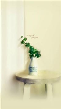 Nature Minimal Elegant Room Table Plant Vase wallpaper