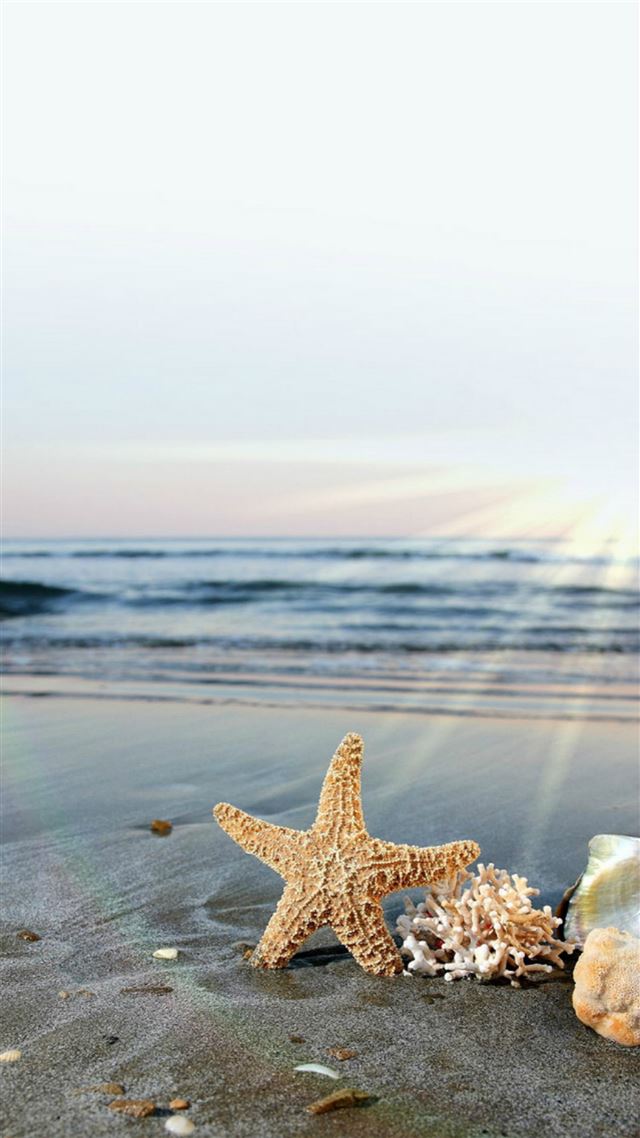 1080x1920 Starfish Sun Waves Beach - starfish iPhone 8 Wallpaper