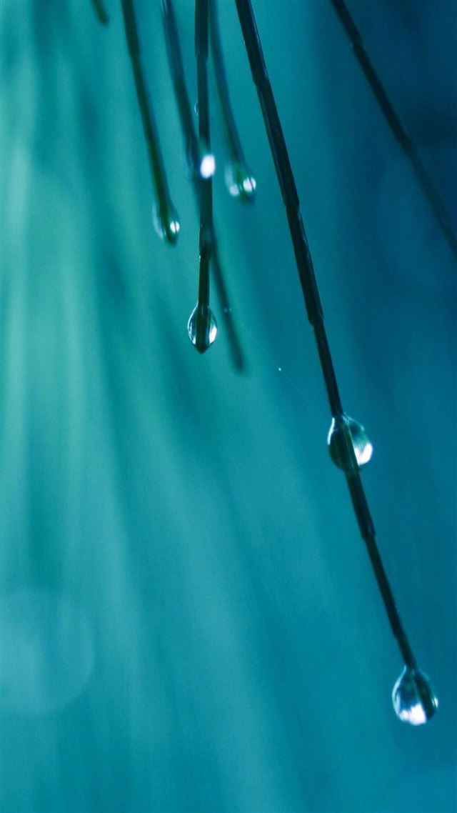 1080x1920 Grass Threads Water Drops - drops iPhone 8 Wallpaper