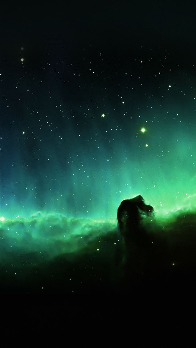 1080x1920 Horse Head Blue Nebula Sky Space Stars - shiny iPhone 8 Wallpaper