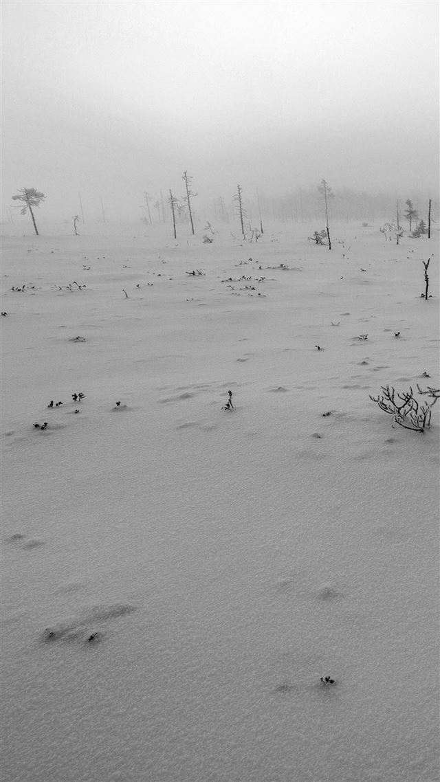 1080x1920 Snow Walk Winter White Footprints Nature Mountain - wild iPhone 8 Wallpaper