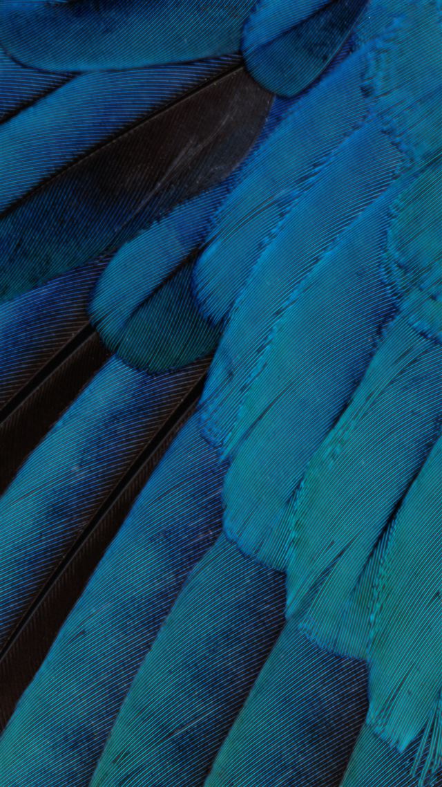 1080x1920 iOS9 Wallpaper Blue Feather Pattern Art - blue iPhone 8 Wallpaper
