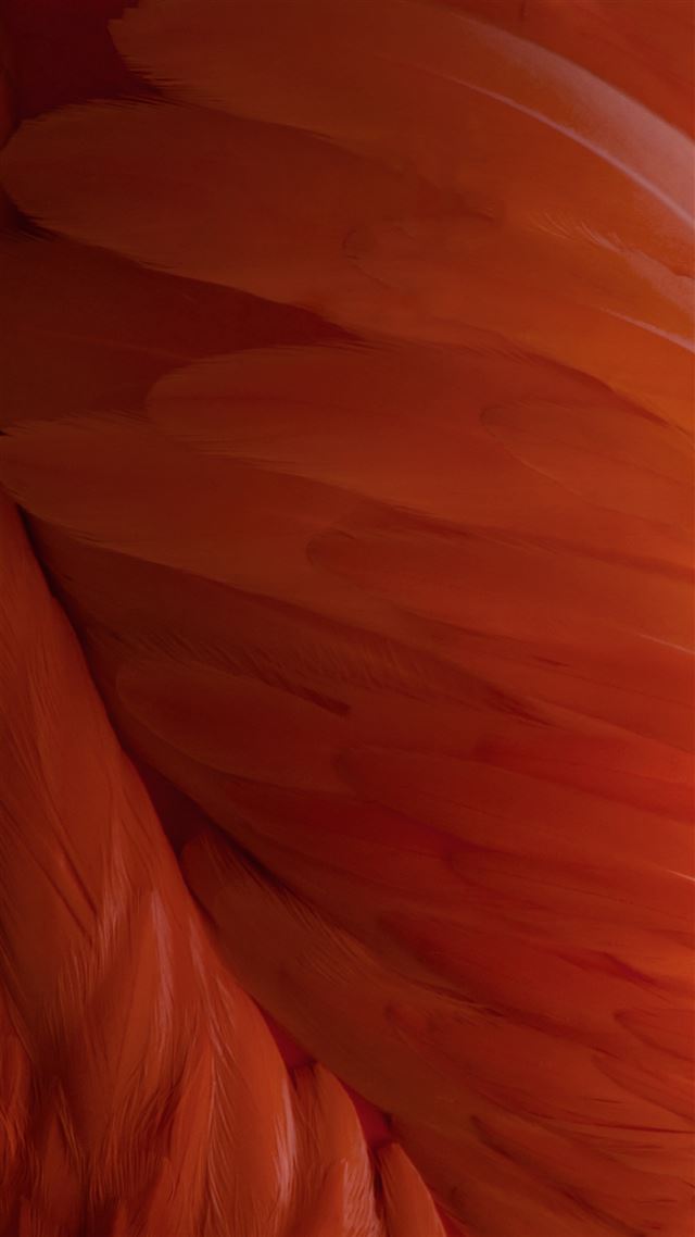 1080x1920 iOS9 Wallpaper Feather Pattern Art  - feather iPhone 8 Wallpaper