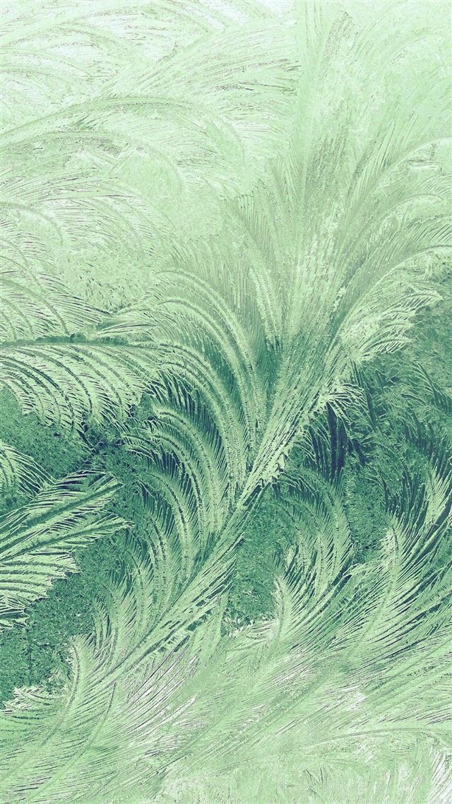 1080x1920 Winter Snow Window Cold Pattern Green - winter iPhone 8 Wallpaper