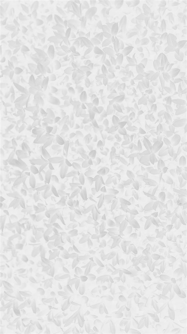 1080x1920 Nature White Leaf Grass Garden Flower Pattern - flower iPhone 8 Wallpaper