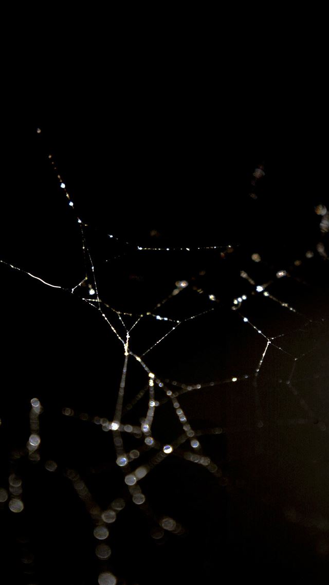 1080x1920 Spider Web Nature Rain Water Pattern Dark - dew iPhone 8 Wallpaper