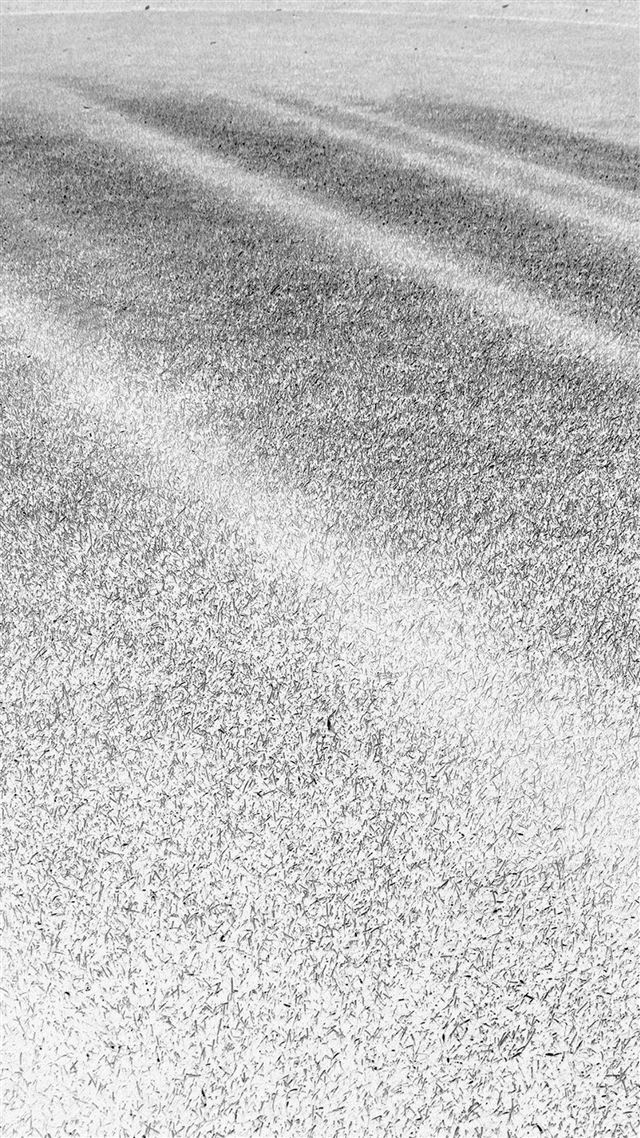 1080x1920 Lawn Grass Sunlight Green White Pattern - sunlight iPhone 8 Wallpaper