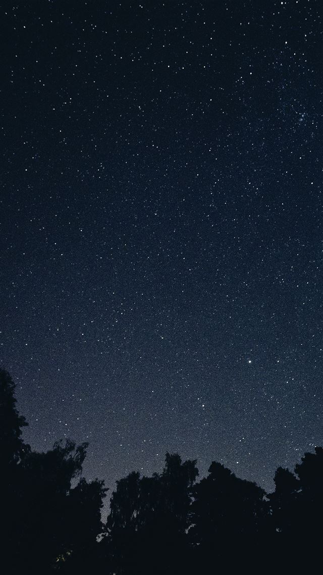 1080x1920 Starry Night Sky Star Galaxy Space Dark -  iPhone 8 Wallpaper