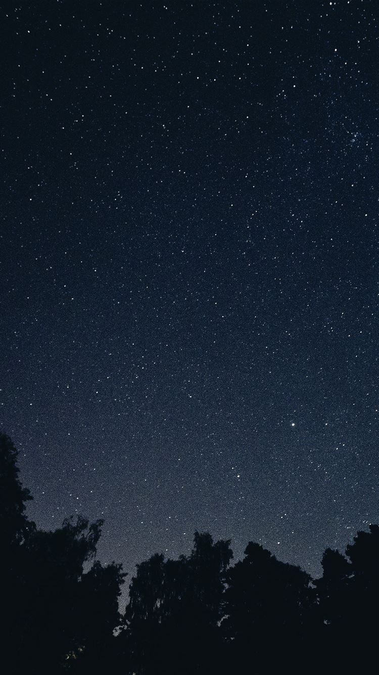 Premium Photo  Night black starry sky vertical background 3d illustration  of infinite universe