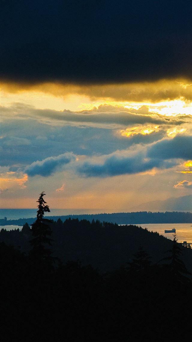 1080x1920 Burnaby Mountain Park - trees iPhone 8 Wallpaper