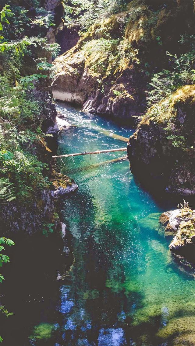 1080x1920 Green Forest Cliffs River  - sunlight iPhone 8 Wallpaper