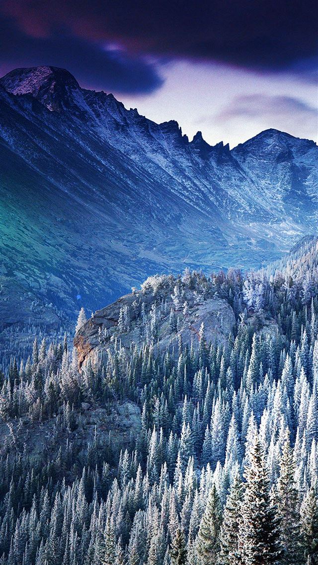 1080x1920 Winter Mountain Blue Woods Tree Nature Cold - winter iPhone 8 Wallpaper