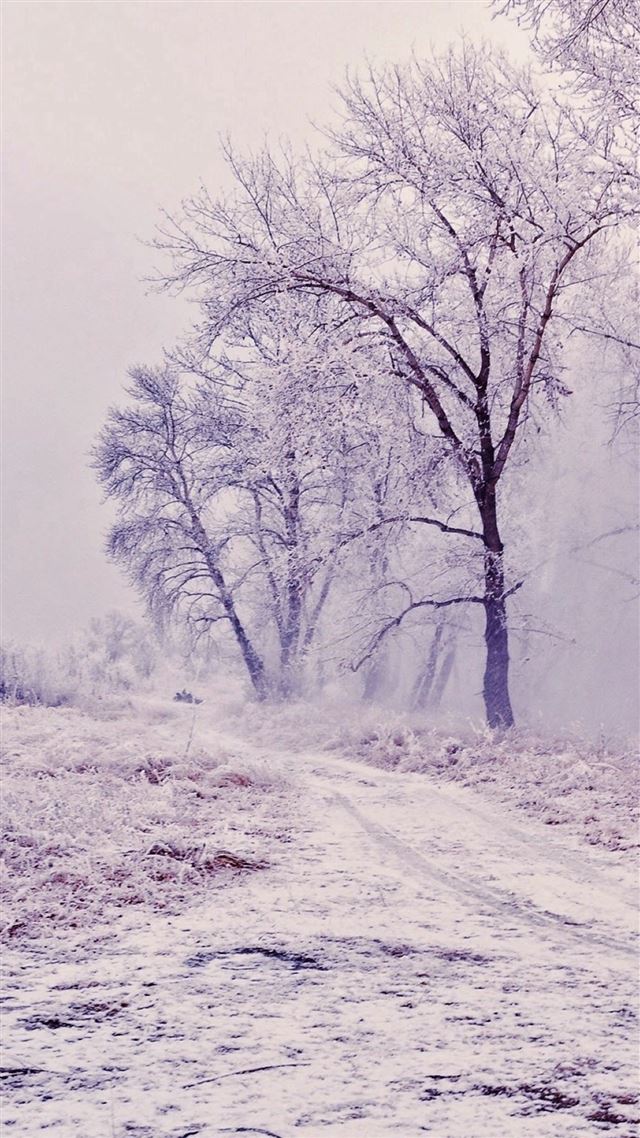 1080x1920 Winter Path Trees Landscape - road iPhone 8 Wallpaper