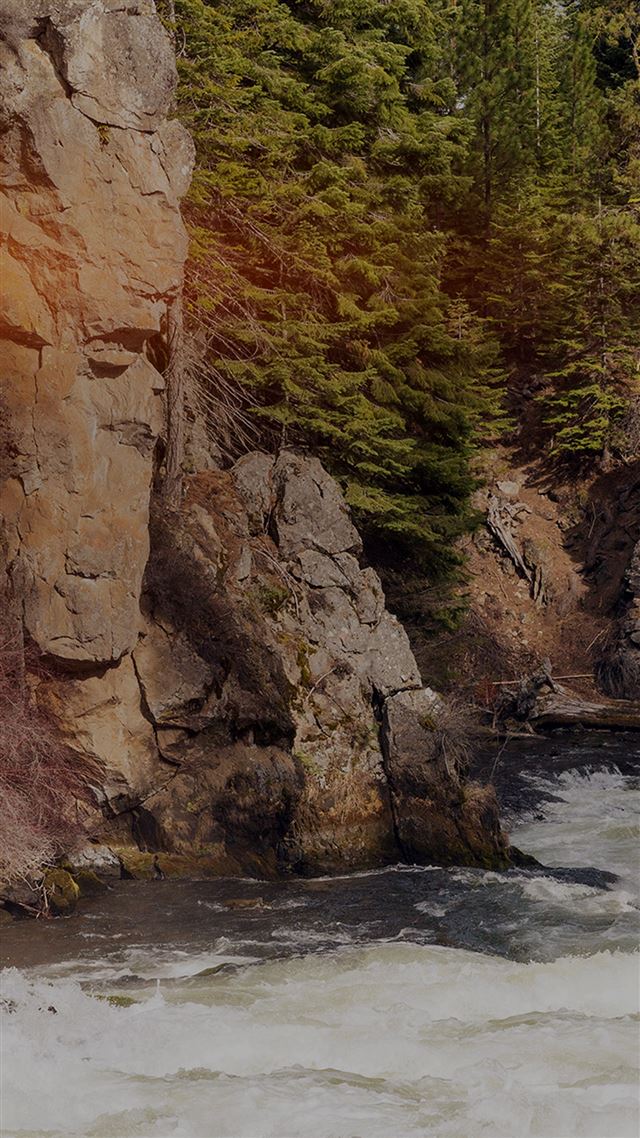 1080x1920 River Mountain Flow Nature Dark - trees iPhone 8 Wallpaper