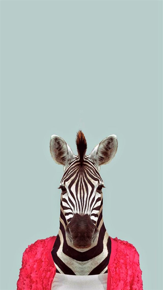 1080x1920 Zebra Funny Animal Portrait - bright iPhone 8 Wallpaper