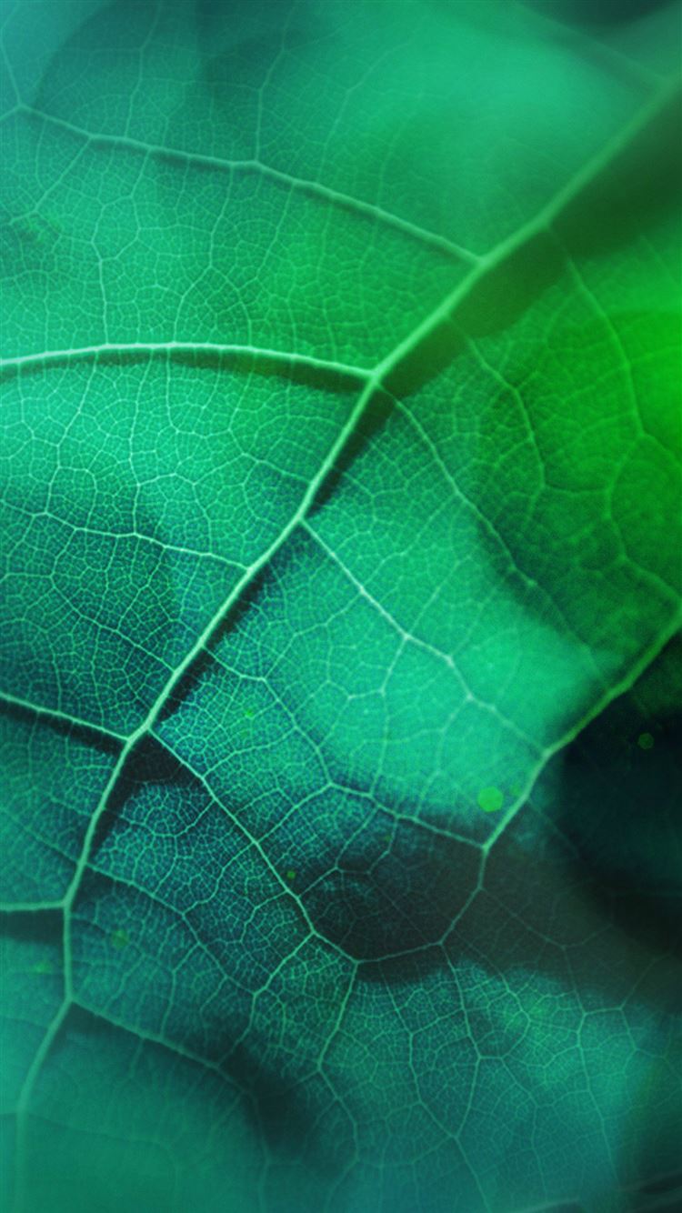 Leaf Flare Nature Green Wood Love Pattern Iphone 8 Wallpaper