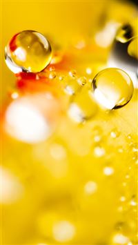 Macro Wonderful Drop wallpaper