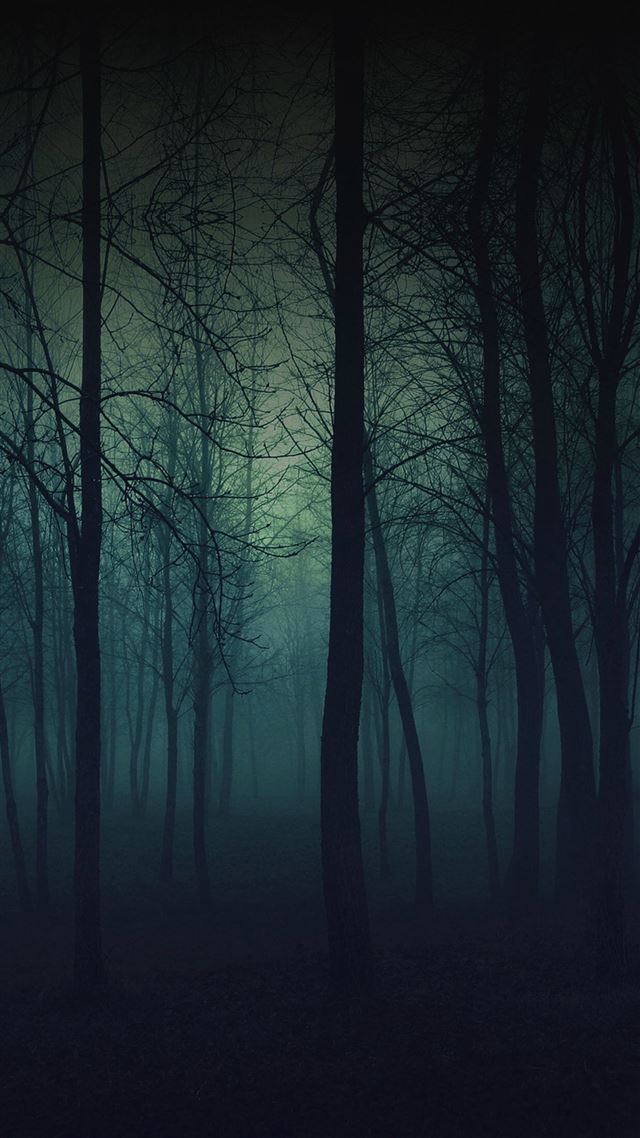1080x1920 Eerie Forest Night - branch iPhone 8 Wallpaper