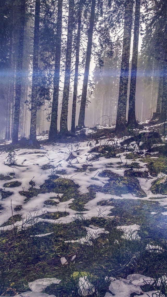 1080x1920 Mountain Snow Woods Nature Blue Flare - mountains iPhone 8 Wallpaper