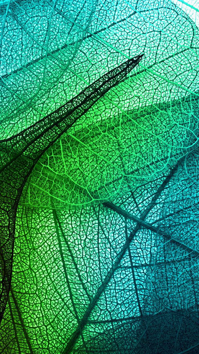 1920x3413 Leaves Art Green Blue Pattern - close up iPhone 8 Wallpaper