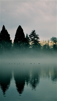 River Trees Fog Reflection wallpaper