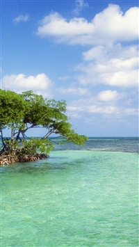 Trees Island Sailing Vessel Bank Azure Horizon wallpaper