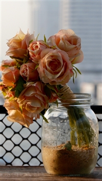 Roses Bouquet Flowers Bank iPhone 6(s)~8(s) wallpaper
