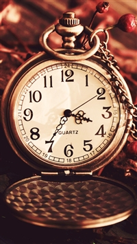 Vintage Watch Pocket Macro Autumn Berries Dry Chain Dial wallpaper