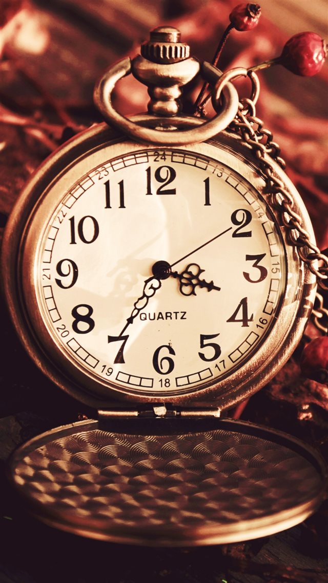 1080x1920 Vintage Watch Pocket Macro Autumn Berries Dry Chain Dial - berries iPhone 8 Wallpaper